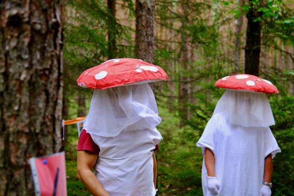 Pohádkový les – poznáváme houby
