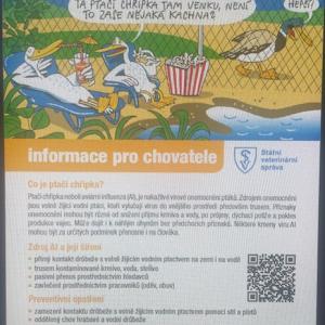 Pozor na ptačí chřipku